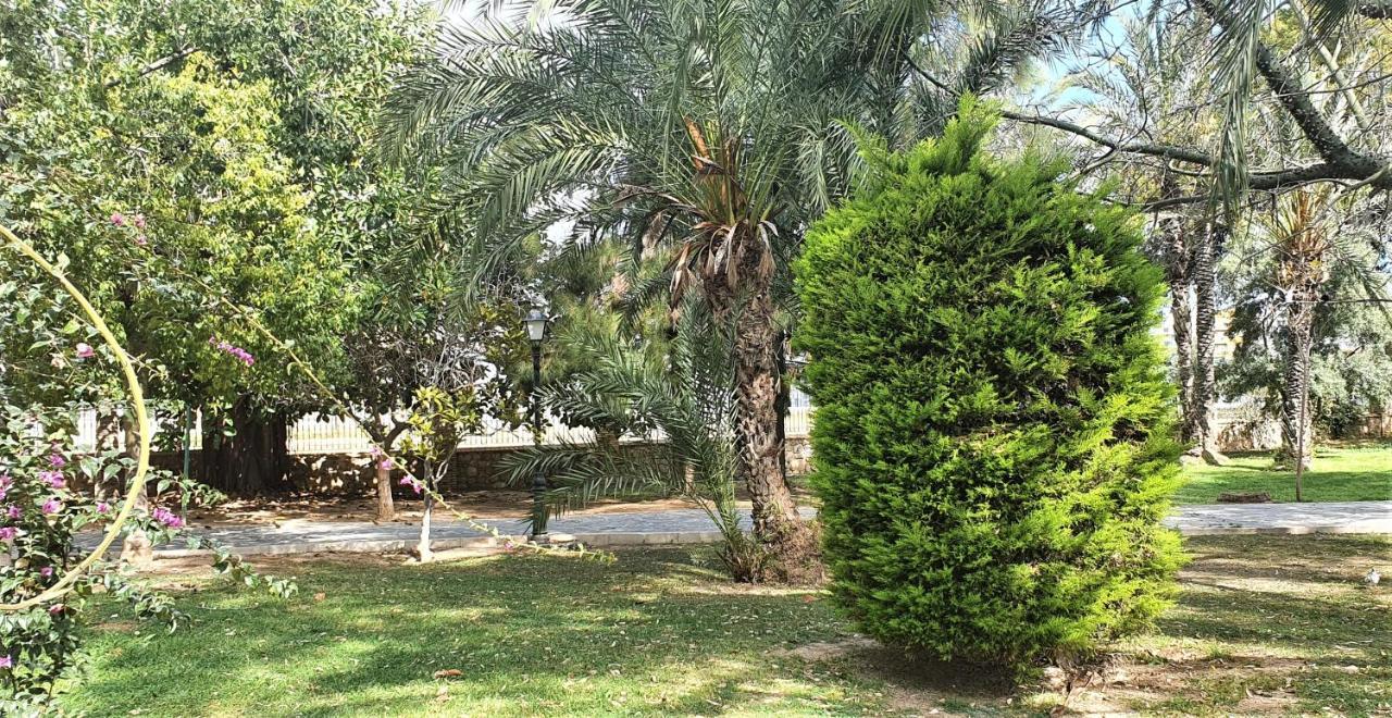 Ecaterina Apartment Torrevieja Bagian luar foto