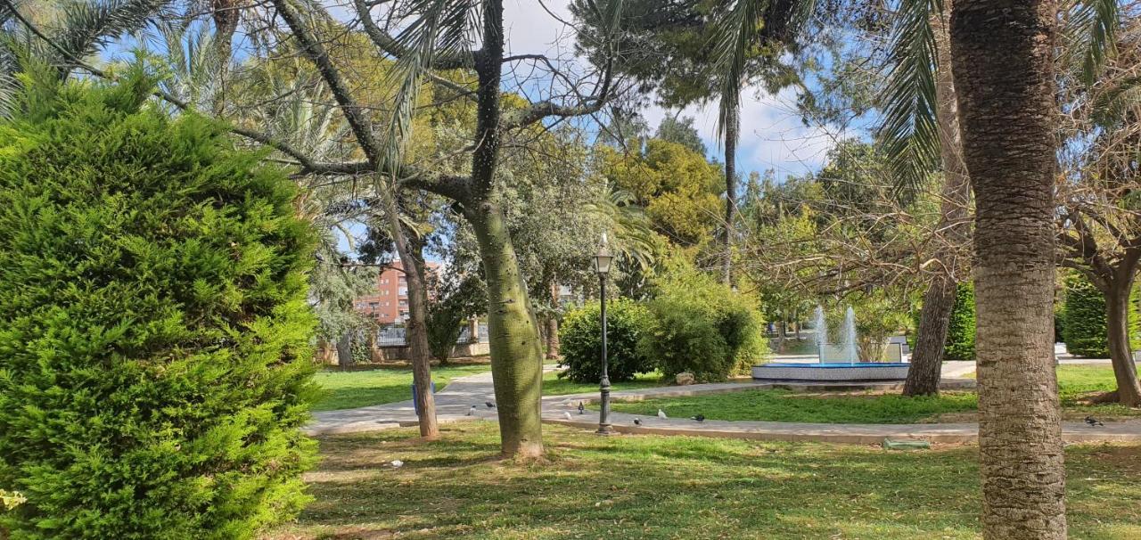 Ecaterina Apartment Torrevieja Bagian luar foto